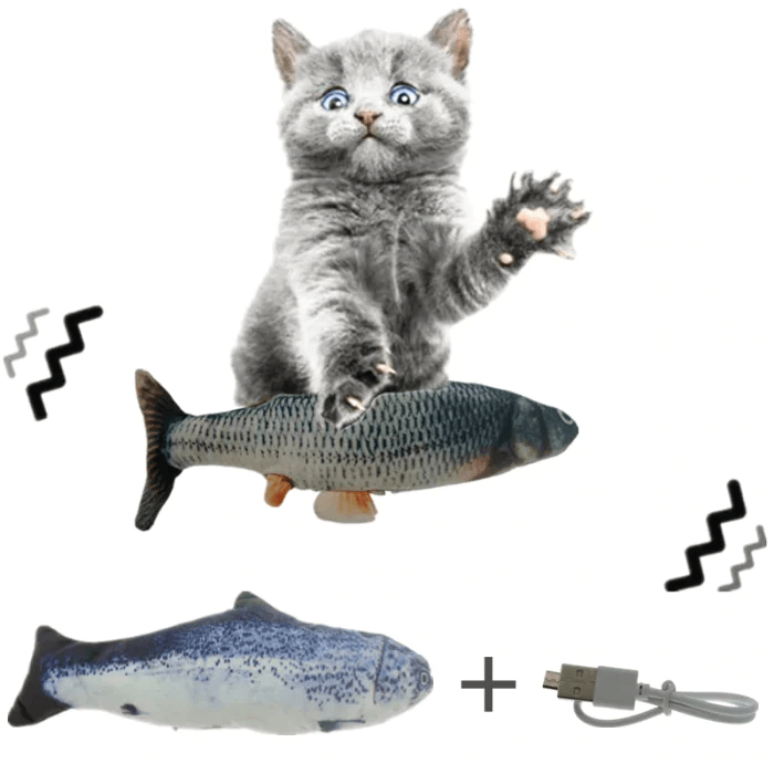 Peixe Interativo Elétrico Para Gatos – Carregamento USB 30cm - big mimo