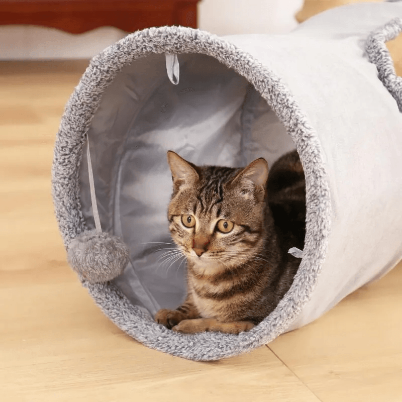 Túnel 2 buracos para treinamento Brinquedo para Gatos - big mimo